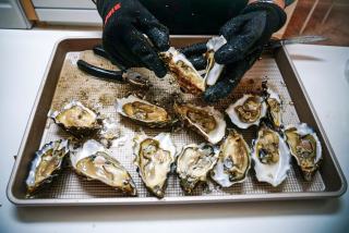 Huîtres chaudes au micro-ondes : recette rapide et facile