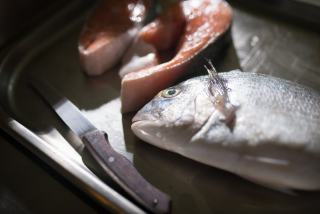 Recettes de poisson froid : terrines, salades et carpaccios