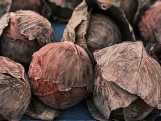 Chou de Milan : recette simple pour cuisiner ce chou tendre