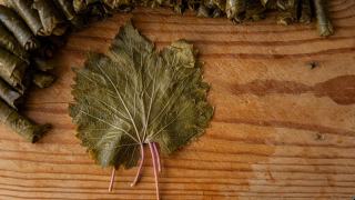 Dolma - Recette de feuilles de vigne farcies à la viande